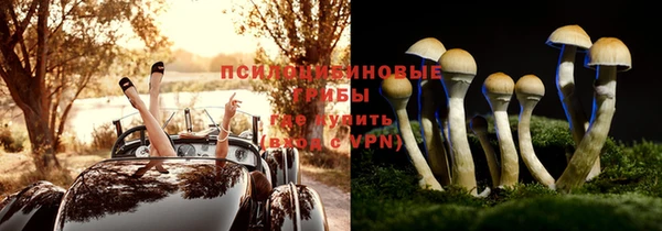 героин Пересвет