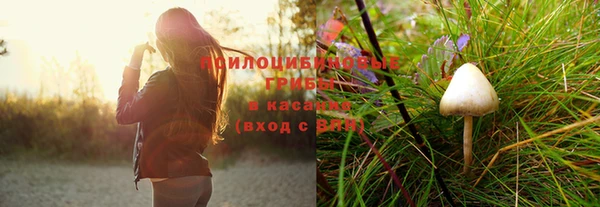 PSILOCYBIN Переславль-Залесский