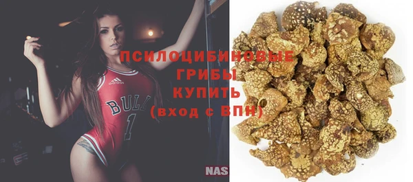 PSILOCYBIN Переславль-Залесский